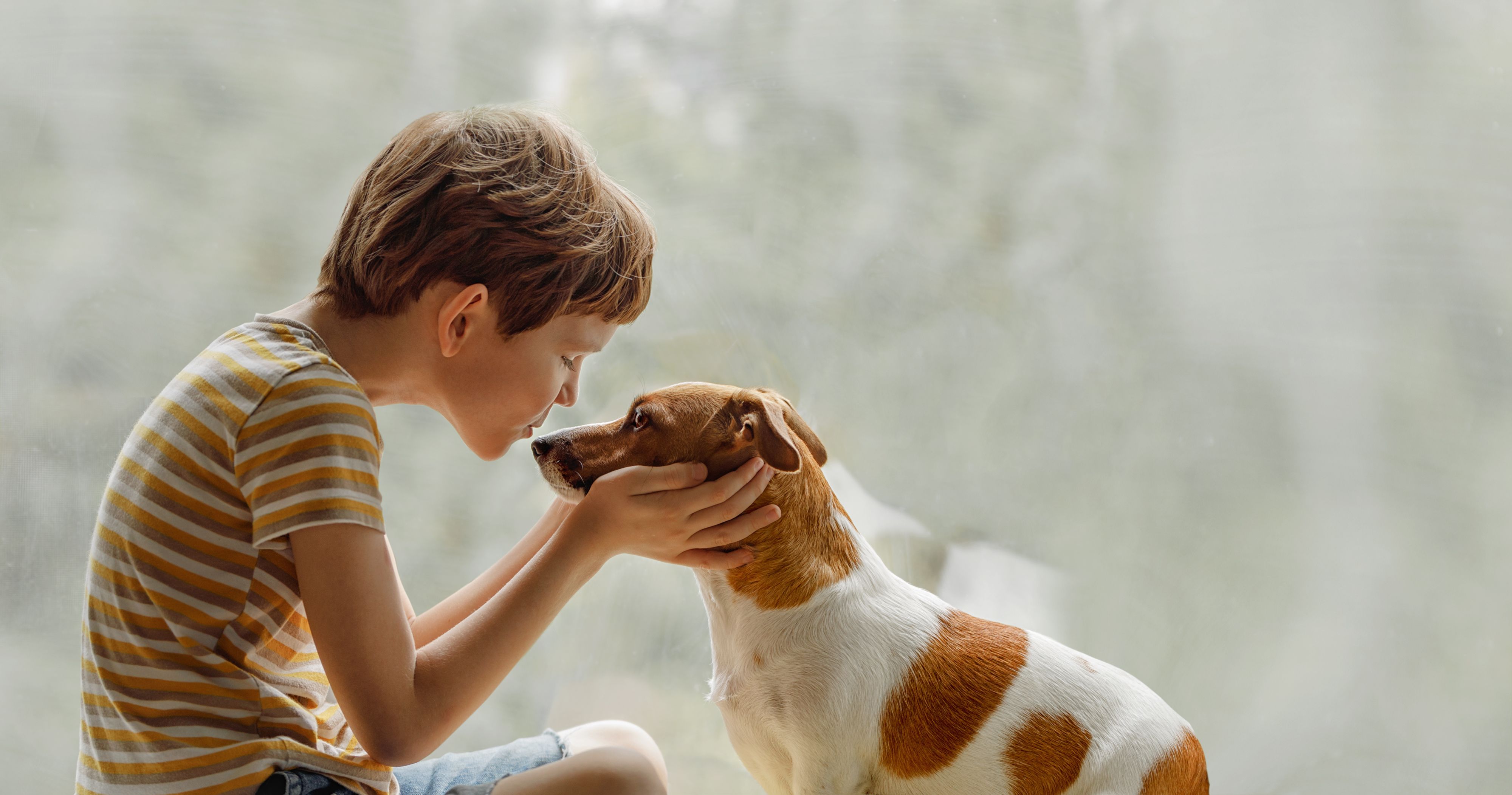 Pets e Crianas: Construindo um Relacionamento Saudvel