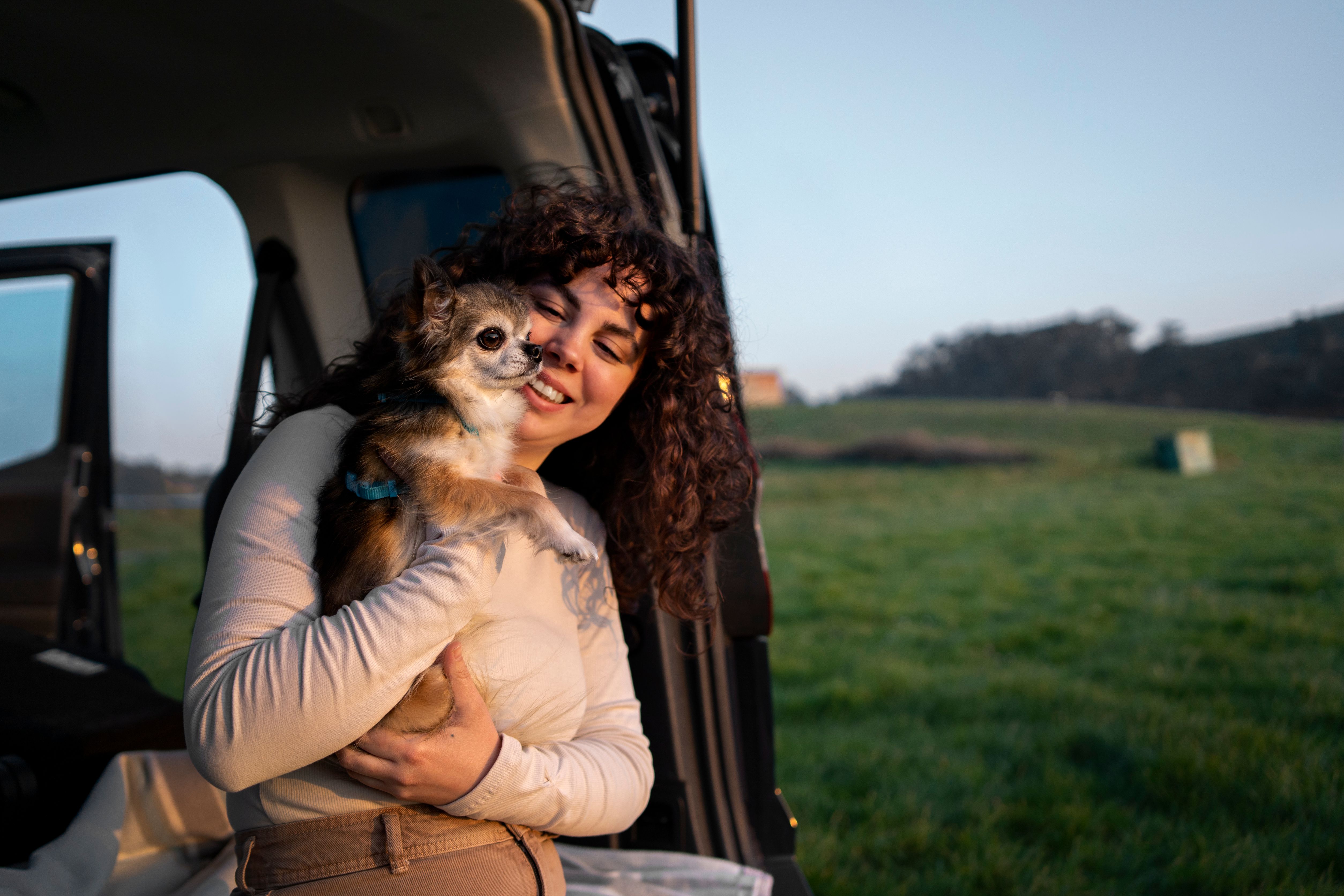 Vai pegar a estrada com seu amigo peludo? Dicas essenciais para garantir uma viagem segura com seu pet