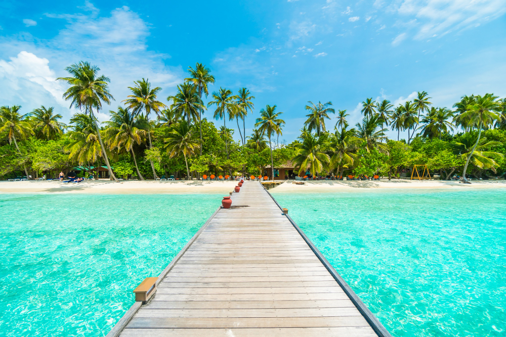Desvendando o Caribe: Barbados e Suas Maravilhas Naturais